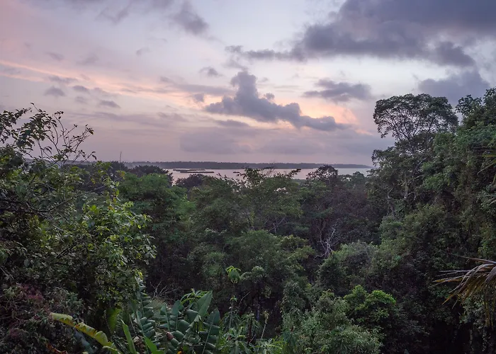 La Loma Jungle Lodge And Chocolate Farm