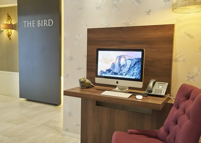The Bird