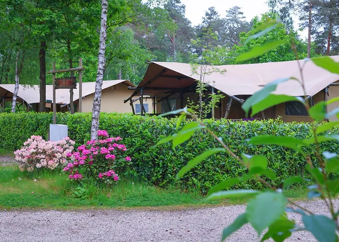 Chalet&Glamping Ons Plekje In Het Bos