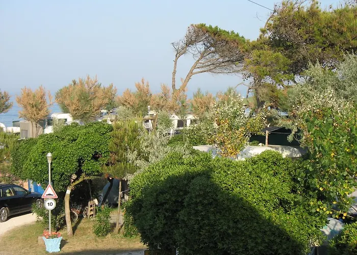  Camping La Pineta