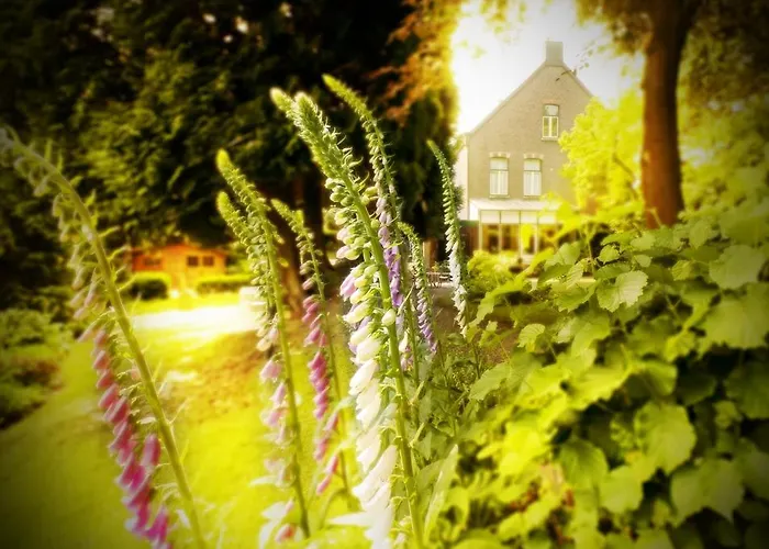 Beukenhorst