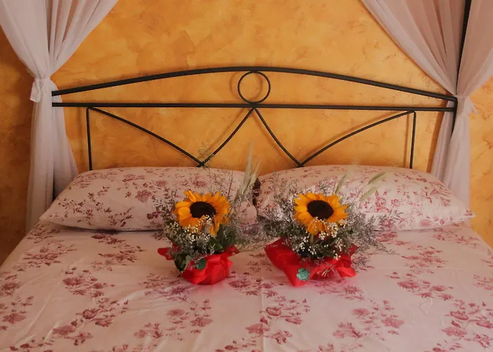 Hotel familiare: Il Gallo