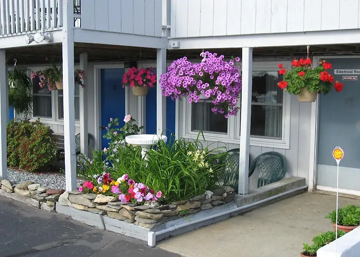 Sea Whale Motel