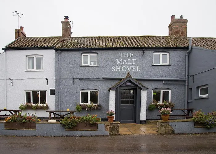Malt Shovel