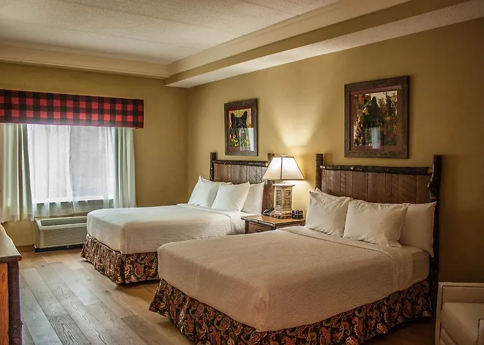 Resorts Guide Appy Lodge
