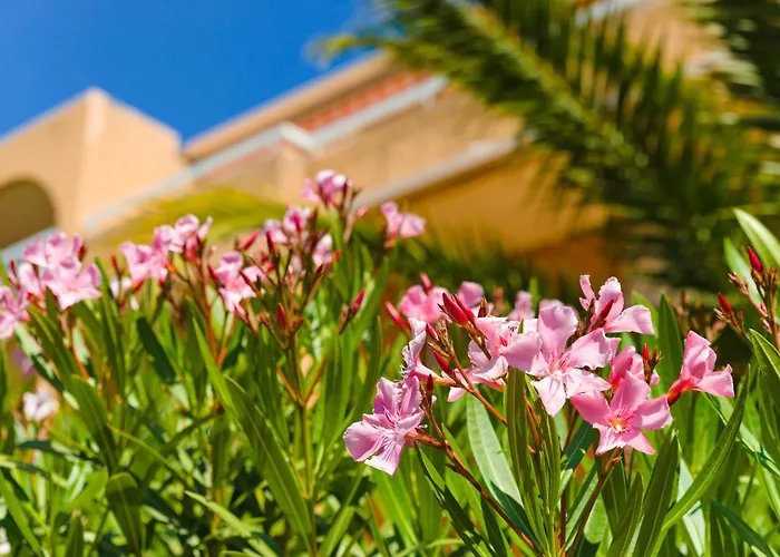 Apart hôtel: Lagrange Vacances Villa Barbara