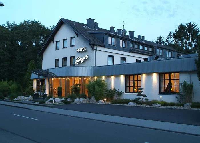 Hotel dichtbij College: Hotel Spiegel