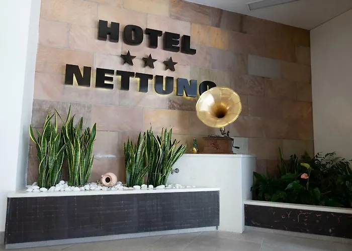  Nettuno