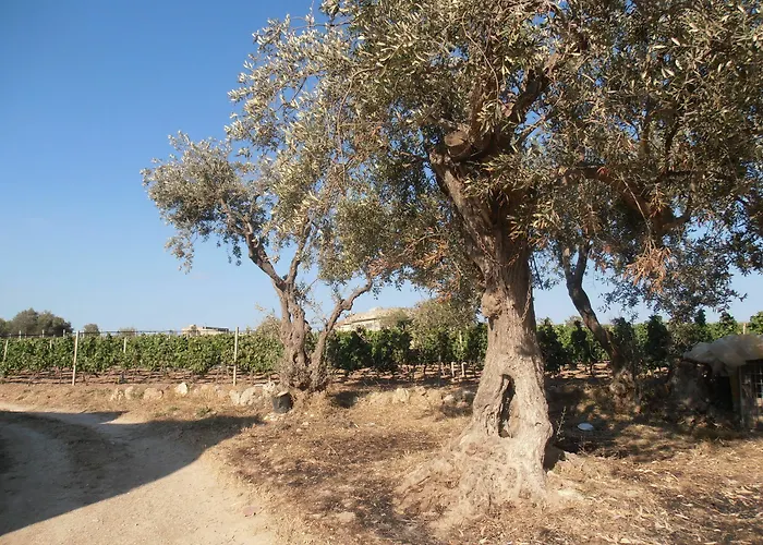 Ciriga Sicily Glamping