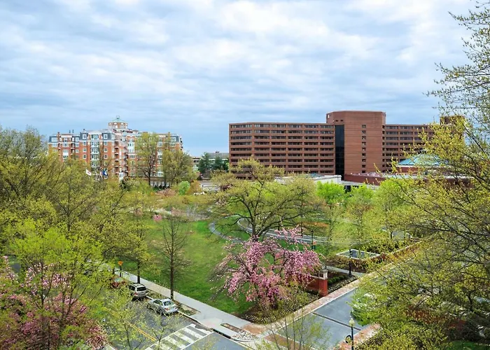 Airport Hotel: Washington Marriott Wardman Park