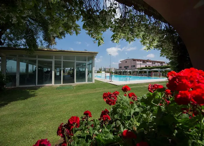 Hotel Ping Pong: Mancini Park Hotel