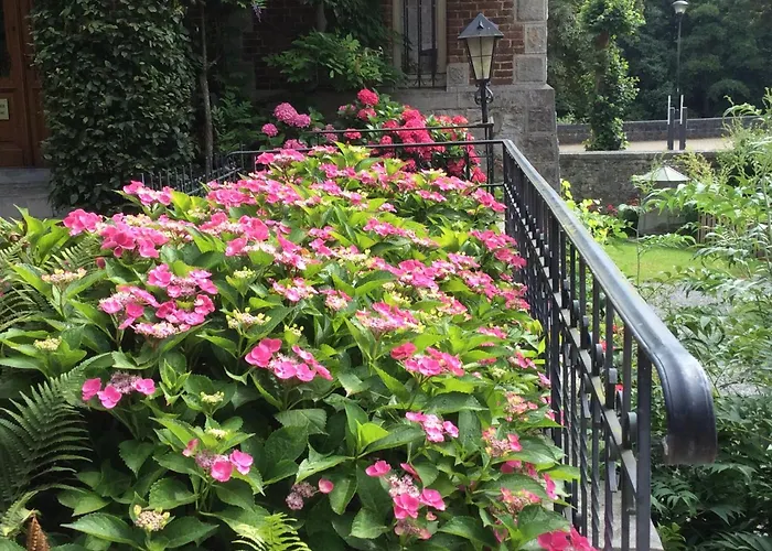 La Villa Des Roses