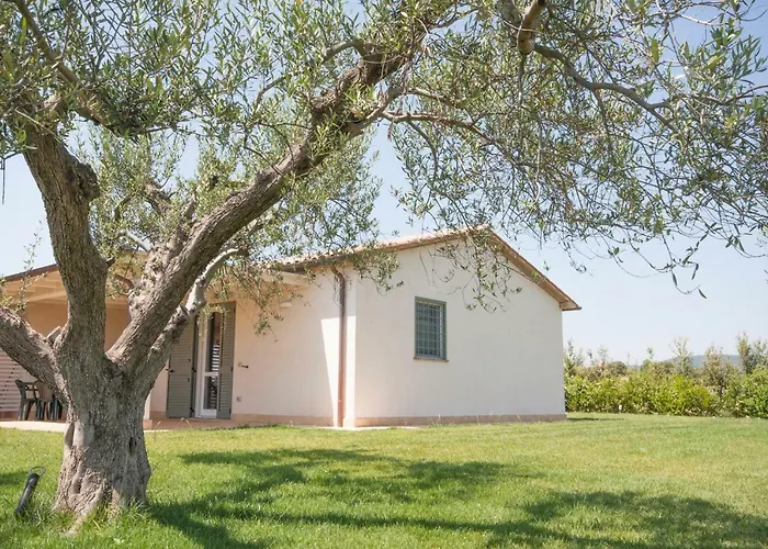 Il Mirto