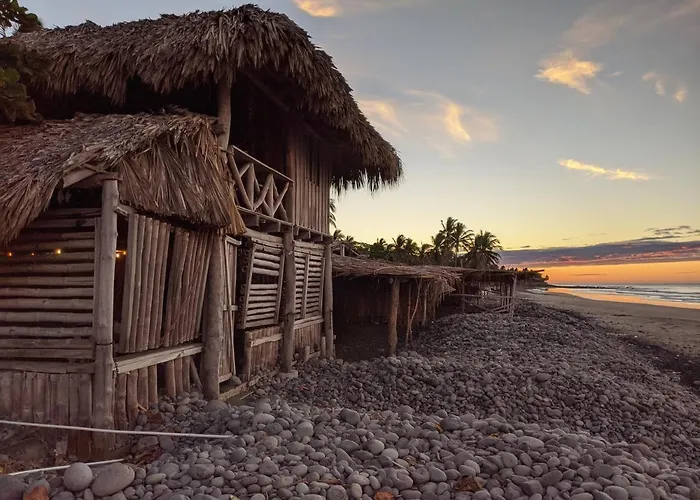 Pelicano Surf Camp